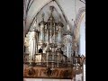 Bach Fantasia and Fugue in G minor BWV 542 Kamień Pomorski Serafin (Dom zu Cammin)